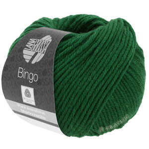 Lana Grossa BINGO  Uni/Melange | 174-jodła