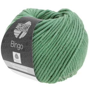 Lana Grossa BINGO  Uni/Melange | 196-szaro-zielony