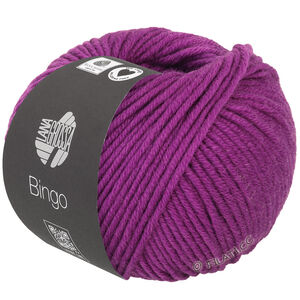 Lana Grossa BINGO  Uni/Melange | 761-orchidea