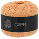 Lana Grossa CAPRI | 41-morela