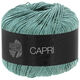 Lana Grossa CAPRI | 45-