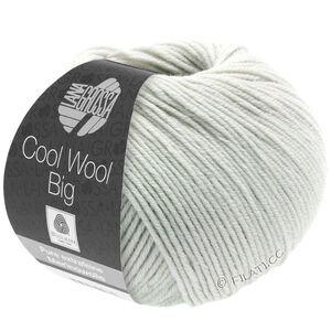 Lana Grossa COOL WOOL Big  Uni/Melange | 1002-biało szary 