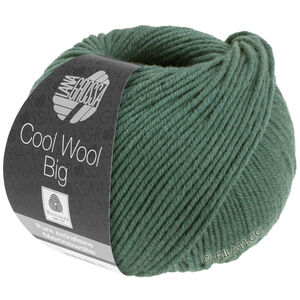 Lana Grossa COOL WOOL Big  Uni/Melange | 1004-zielony mech