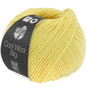 Lana Grossa COOL WOOL Big  Uni/Melange | 1028-zielono-żółty
