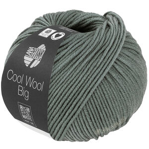 Lana Grossa COOL WOOL Big  Uni/Melange | 1040-szaro-zielony