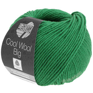 Lana Grossa COOL WOOL Big  Uni/Melange | 0939-ciemny zielony