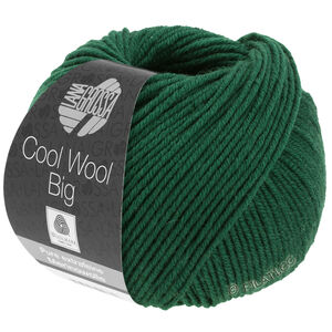 Lana Grossa COOL WOOL Big  Uni/Melange | 0949-butelkowa zieleń