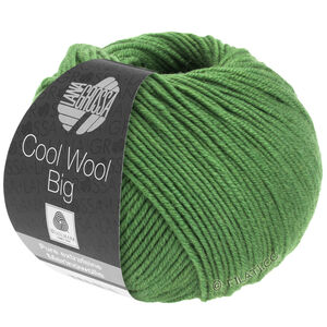 Lana Grossa COOL WOOL Big  Uni/Melange | 0997-zielony liść