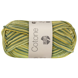 Lana Grossa COTONE  Print/Spray/Mouliné | 367-biało zielony /zielone kiwi/opalowy zielony/zielony patyna