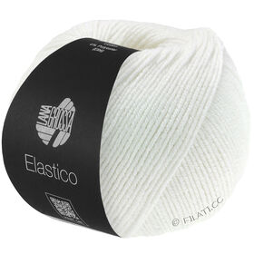 ELASTICO z Lana Grossa