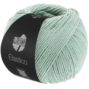 Lana Grossa ELASTICO | 120-szaro-zielony