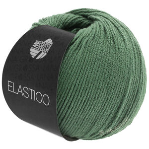 Lana Grossa ELASTICO | 141-rezeda zielona