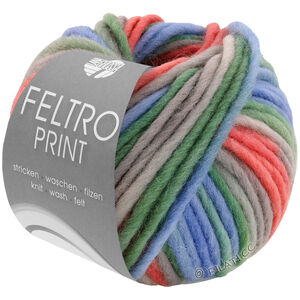 Lana Grossa FELTRO Print | 1309-pastelowy zielony/jasnoszary/niebieskie niebo/czerwony 
