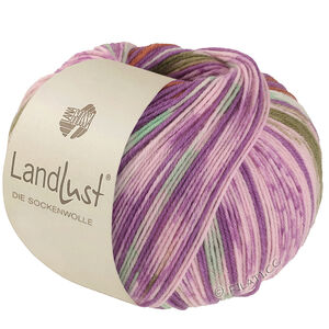 Lana Grossa LANDLUST DIE SOCKENWOLLE | 611-orchidea/brązowy/majowa zieleń/ecru/rosé/oliwka pasiasty