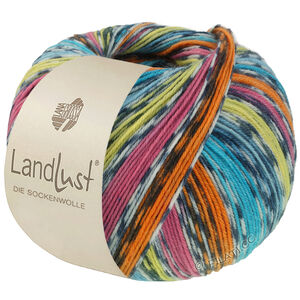 Lana Grossa LANDLUST DIE SOCKENWOLLE | 825-