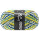 Lana Grossa MEILENWEIT 100g Fantasy | 4894-