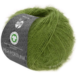 Lana Grossa PER FORTUNA (GOTS) | 58-zielony