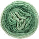 Lana Grossa SLOW WOOL LINO Dégradé | 203-pastelowy zielony/szaro-zielony/zielony patyna