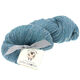 Lana Grossa SLOW WOOL LINO | 21-szaro-niebieski