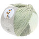 Lana Grossa SOFT COTTON Dégradé | 114-biały/srebrnoszary/jasnoszary/szary