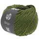 Lana Grossa BINGO Mélange (We Care) | 1013-oliwkowo-zielony