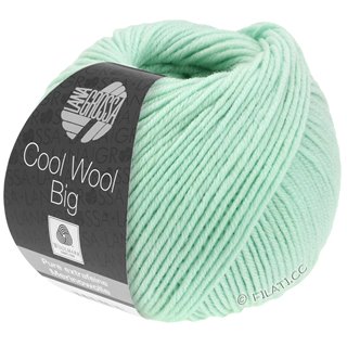 Lana Grossa COOL WOOL Big Uni/Melange