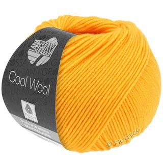 Lana Grossa COOL WOOL