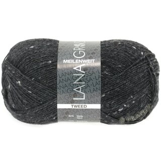 Lana Grossa MEILENWEIT 100g Tweed